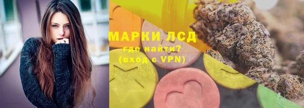 гашиш Богданович