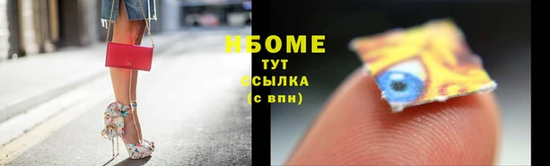 гашиш Богданович