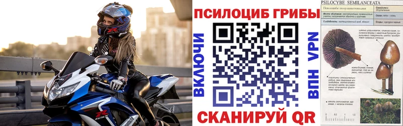 Псилоцибиновые грибы Psilocybine cubensis  Бузулук 