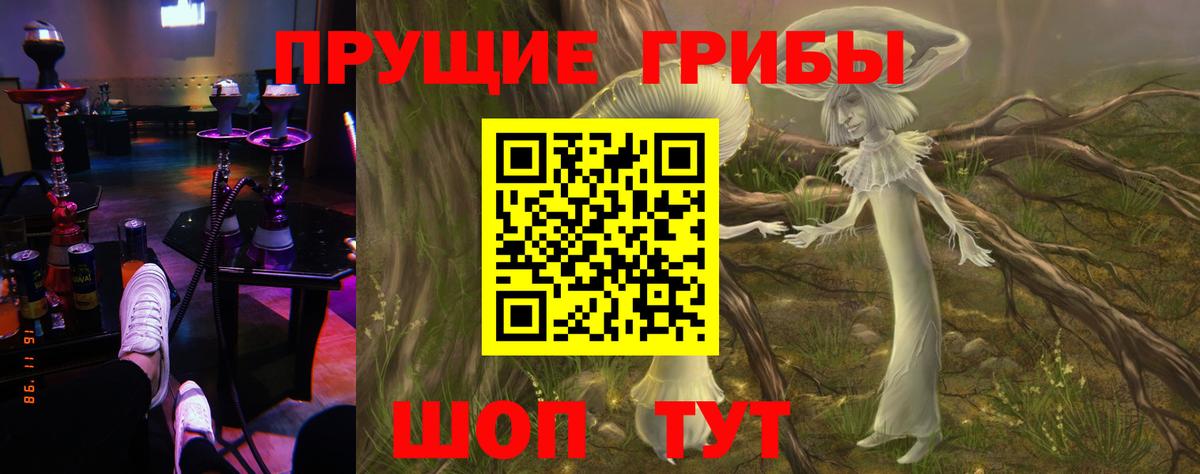 Галлюциногенные грибы GOLDEN TEACHER Бузулук